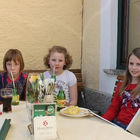 Hotel Hartlwirt Gasthof-hotel 3*