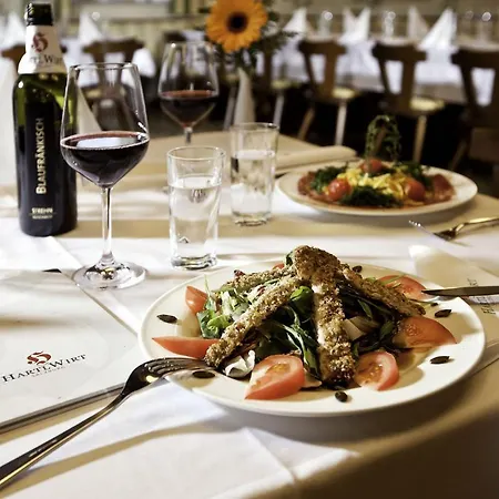 Hotel Hartlwirt Gasthof-hotel Solnohrad